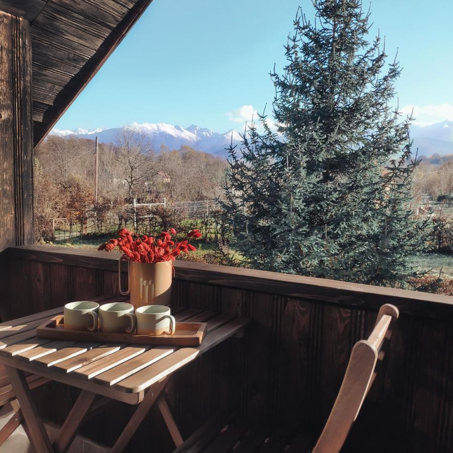 Cuib Din Fagaras Chalet