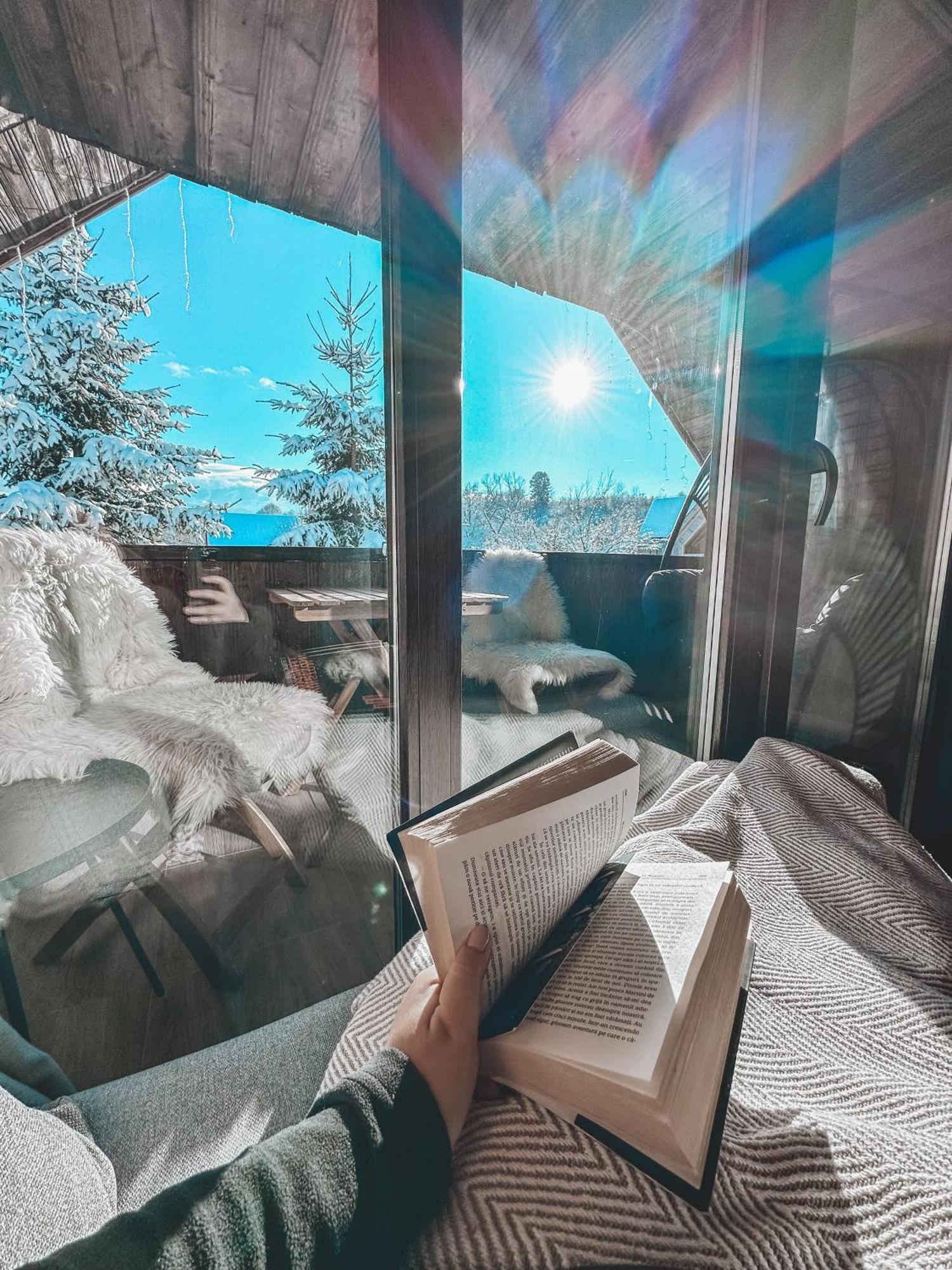 Cuib Din Fagaras Chalet