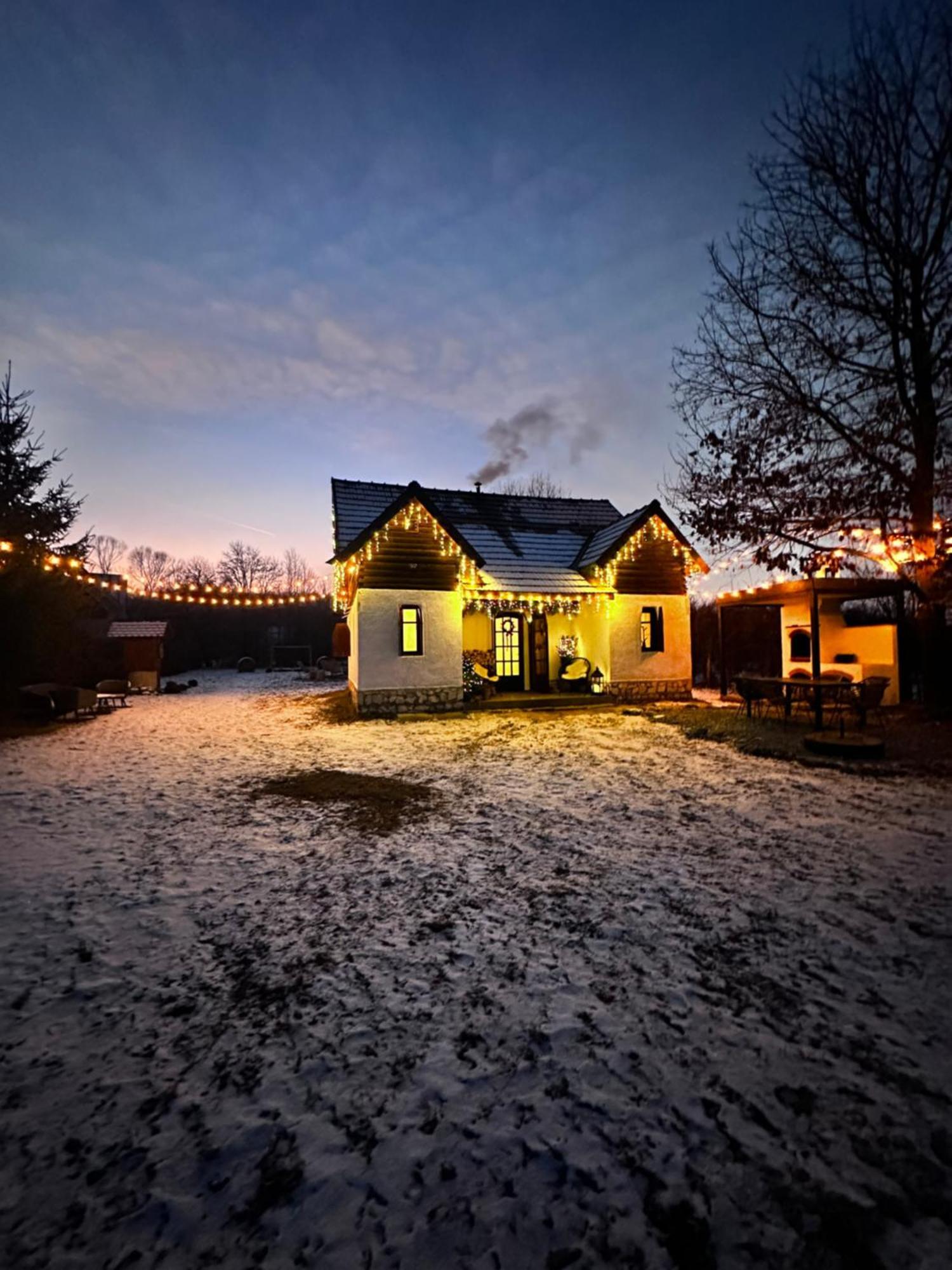Cuib Din Fagaras Chalet *
